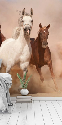 Állatos poszter TPALL018